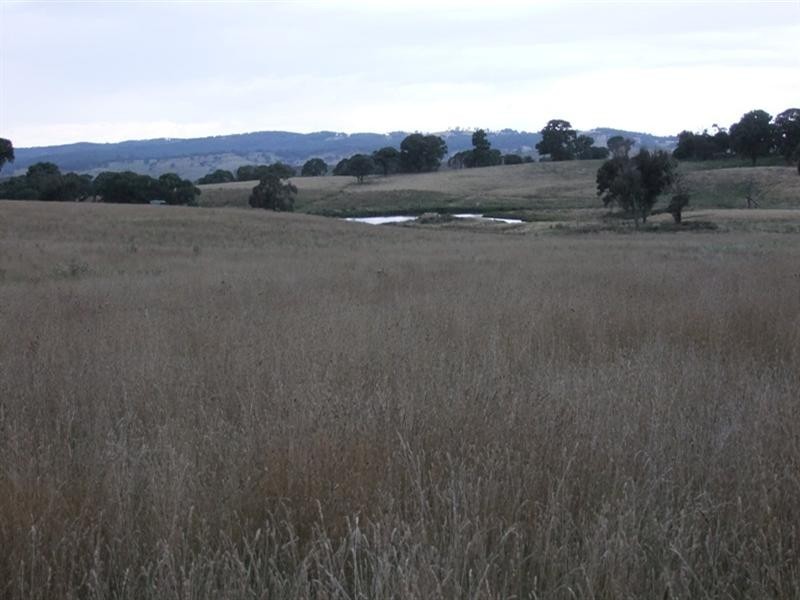 187 Louden Shand Road, Bathurst NSW 2795