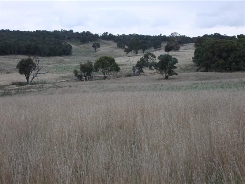 187 Louden Shand Road, Bathurst NSW 2795