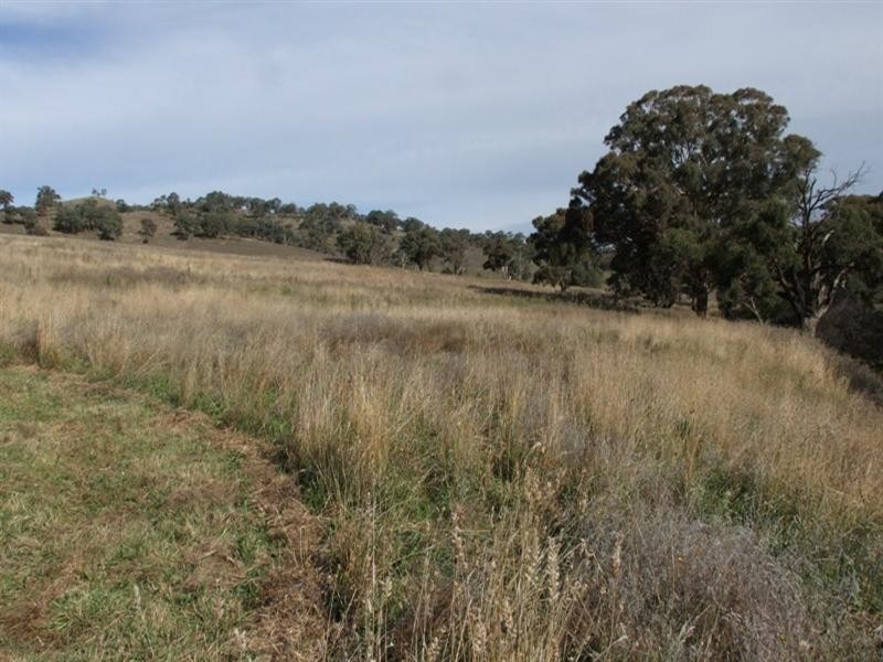 0 Carlwood Road, O’connell NSW 2795