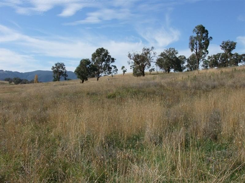 0 Carlwood Road, O’connell NSW 2795