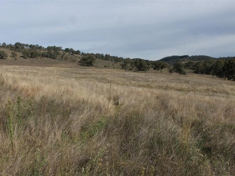 0 Carlwood Road, O’connell NSW 2795