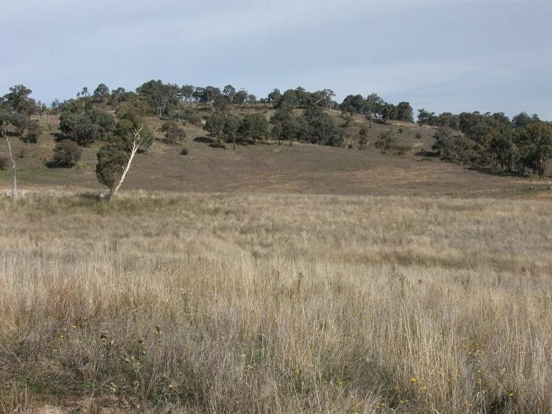 0 Carlwood Road, O’connell NSW 2795