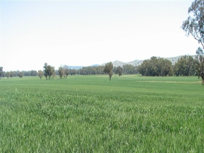 5331 Olympic Way, Cowra NSW 2794