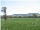 5331 Olympic Way, Cowra NSW 2794