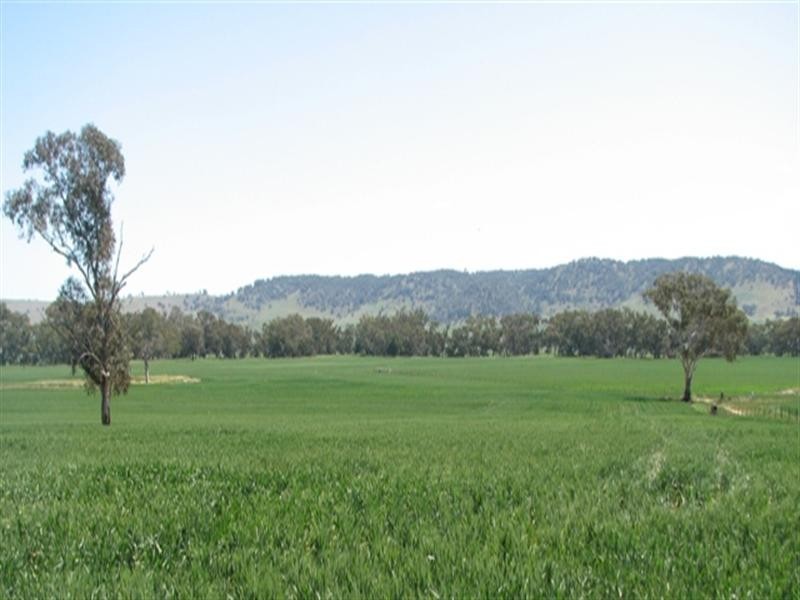 5331 Olympic Way, Cowra NSW 2794