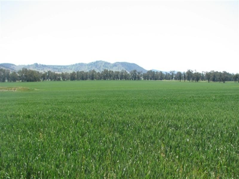 5331 Olympic Way, Cowra NSW 2794