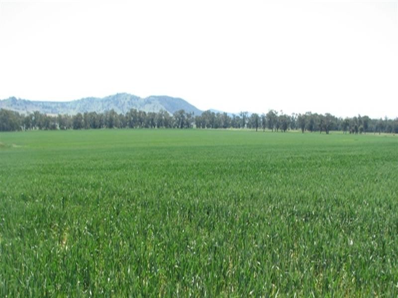 5331 Olympic Way, Cowra NSW 2794