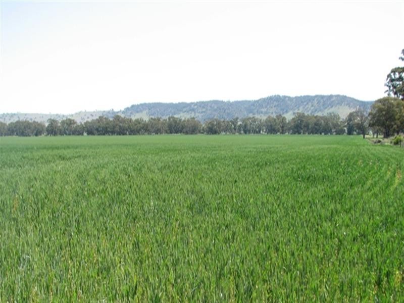 5331 Olympic Way, Cowra NSW 2794