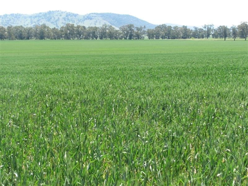 5331 Olympic Way, Cowra NSW 2794