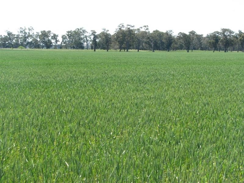 5331 Olympic Way, Cowra NSW 2794