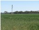 5331 Olympic Way, Cowra NSW 2794