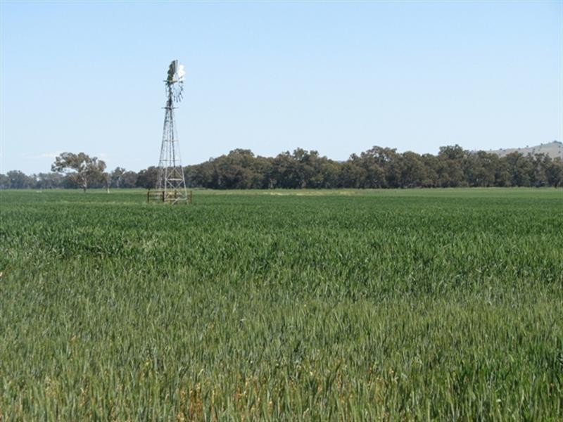 5331 Olympic Way, Cowra NSW 2794