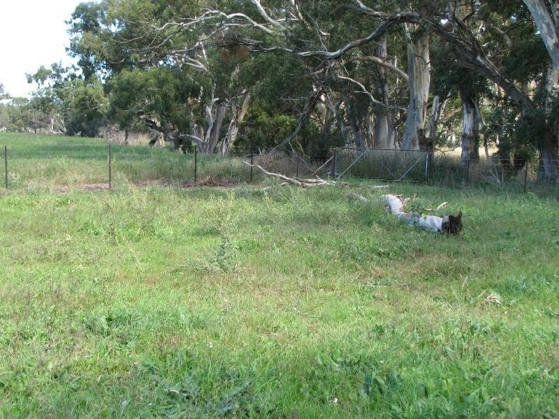 5331 Olympic Way, Cowra NSW 2794