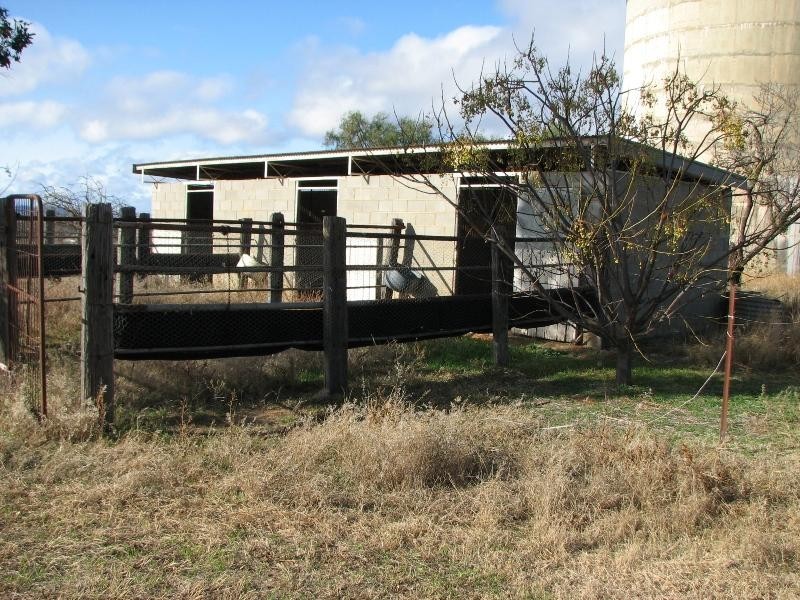 55 Calare Street, Cowra NSW 2794