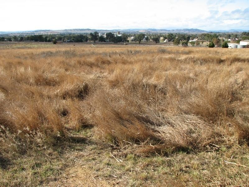 55 Calare Street, Cowra NSW 2794