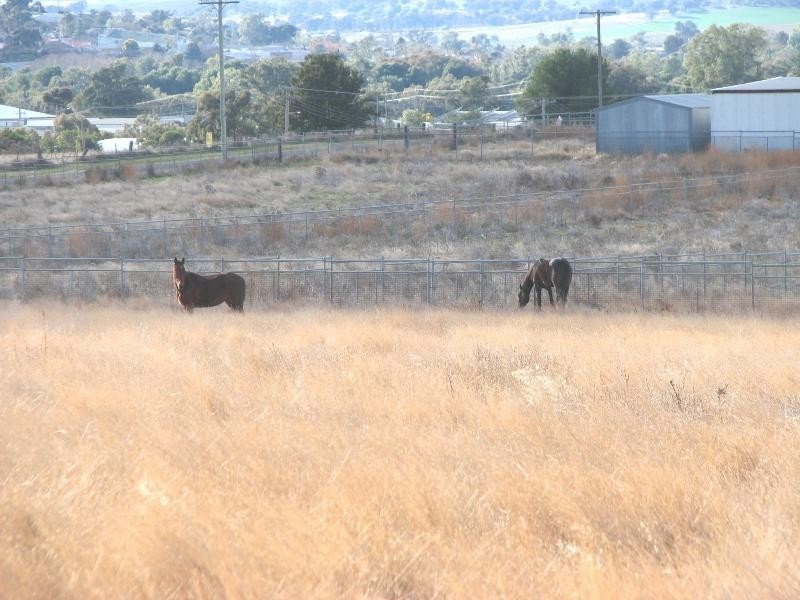 55 Calare Street, Cowra NSW 2794