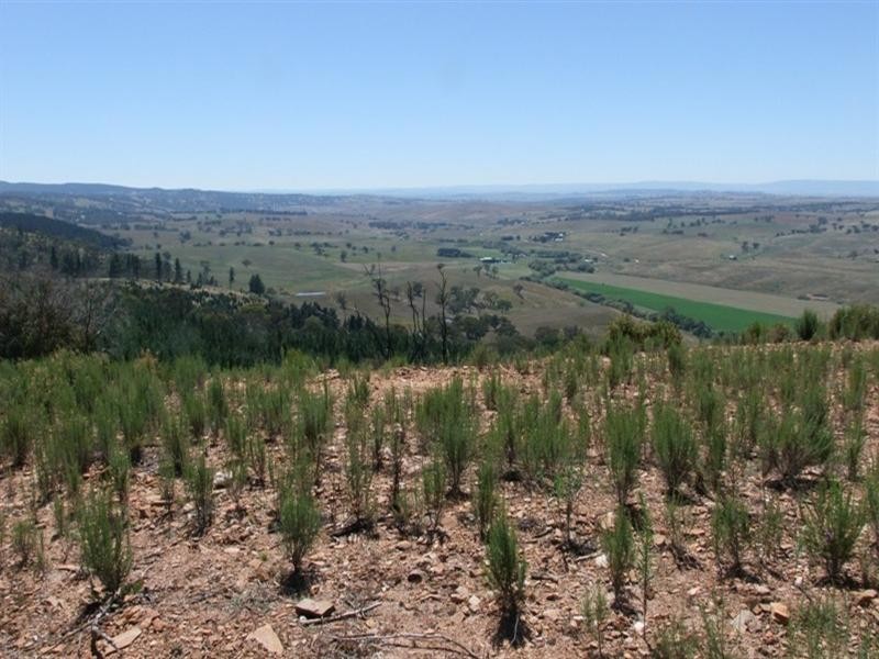 0 Kellys Road, Bathurst NSW 2795