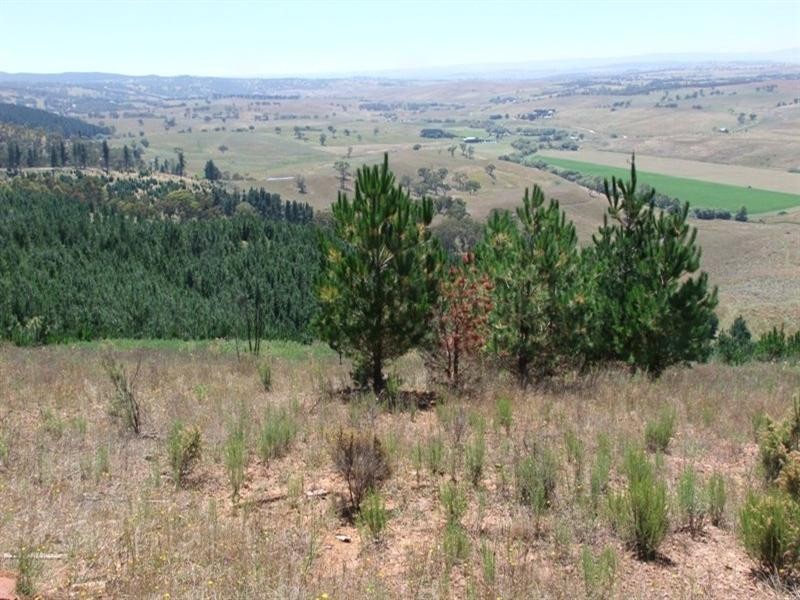 0 Kellys Road, Bathurst NSW 2795