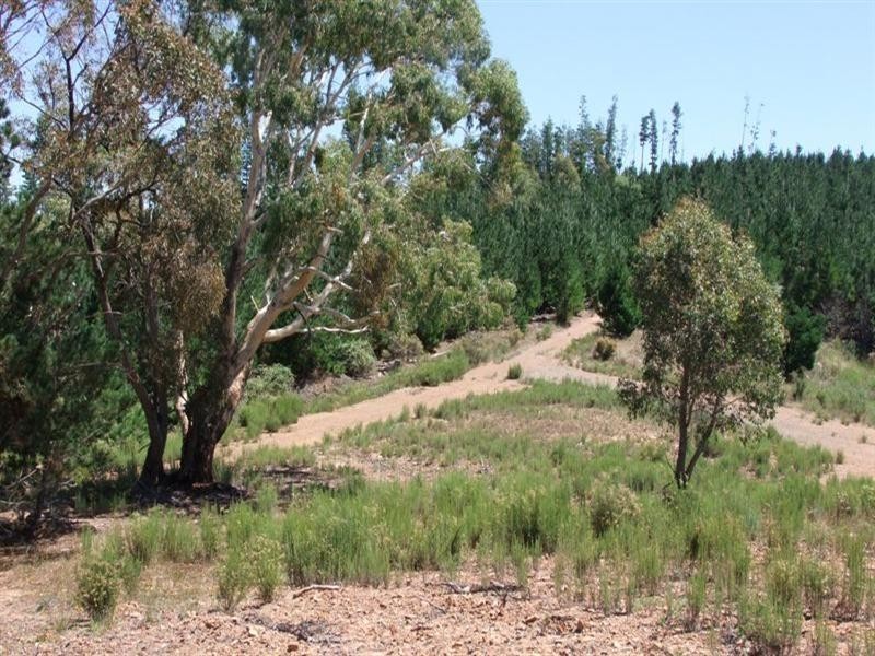 0 Kellys Road, Bathurst NSW 2795