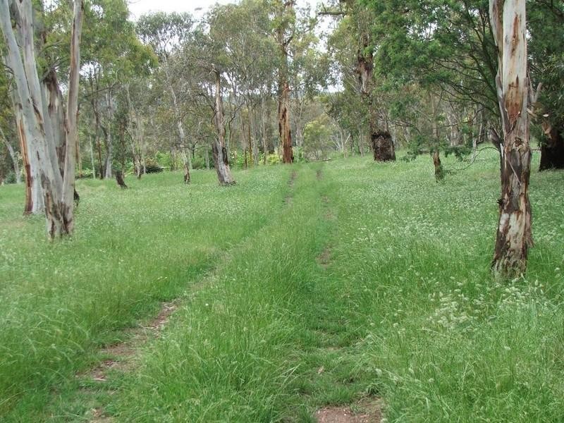 867 Campbells River Road, Black Springs NSW 2787