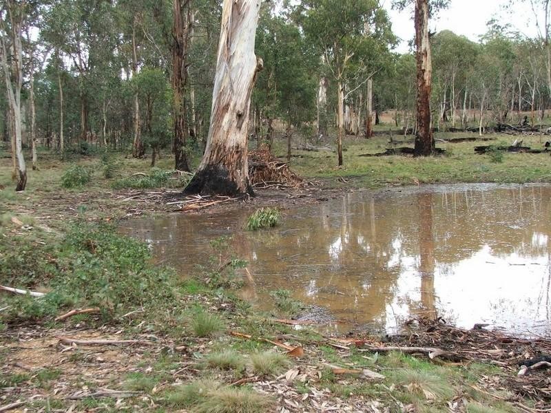 867 Campbells River Road, Black Springs NSW 2787