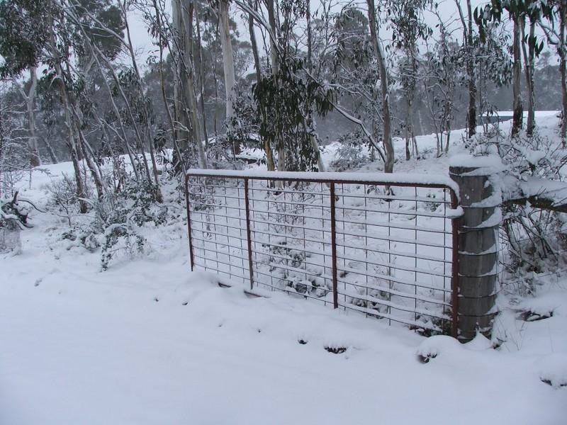 867 Campbells River Road, Black Springs NSW 2787