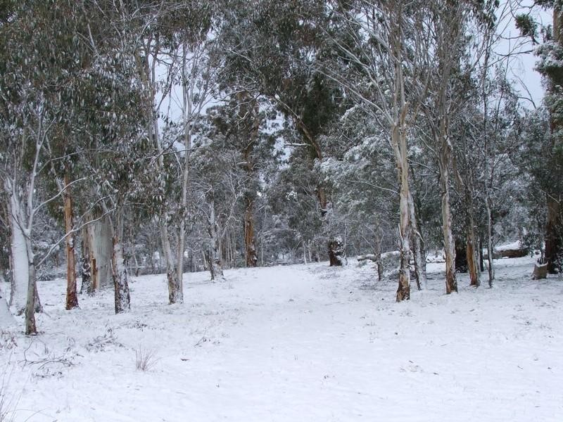 867 Campbells River Road, Black Springs NSW 2787