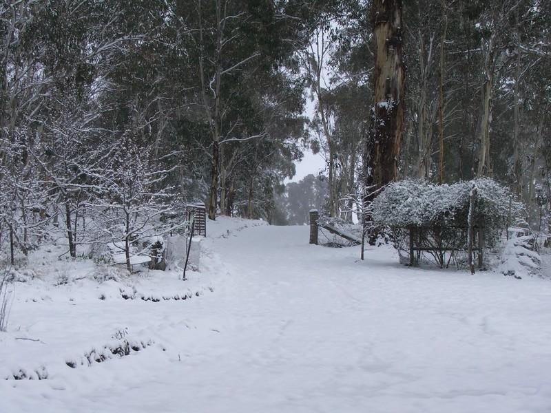 867 Campbells River Road, Black Springs NSW 2787