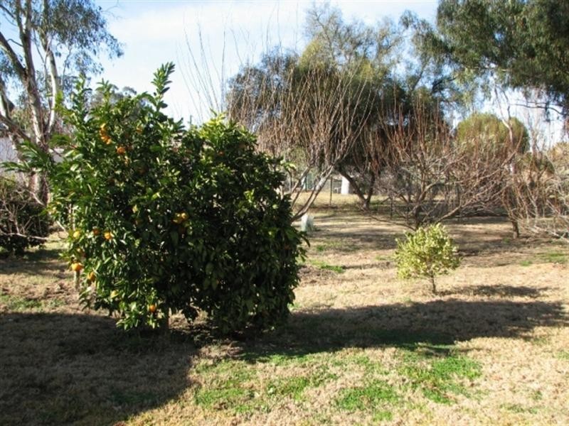 37 Redbank Street, Greenethorpe NSW 2809