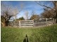 3008 Abercrombie Road, Black Springs NSW 2787