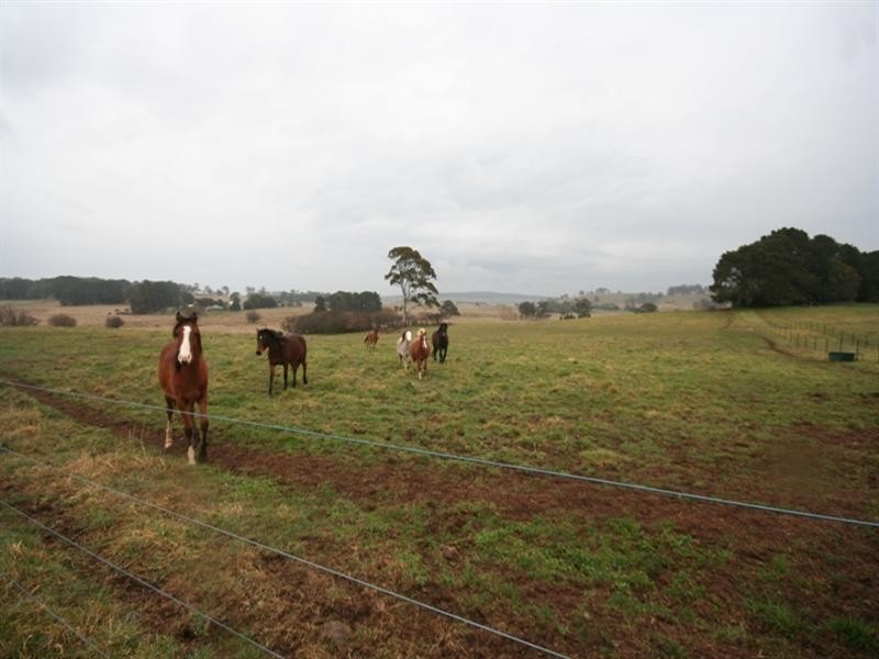 3008 Abercrombie Road, Black Springs NSW 2787