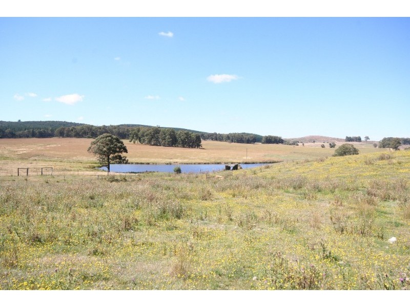 Black Springs NSW 2787