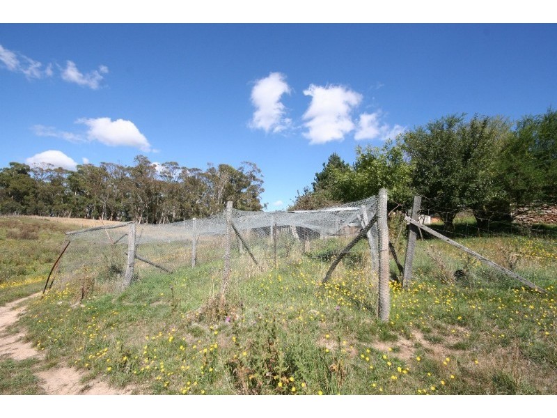 Black Springs NSW 2787