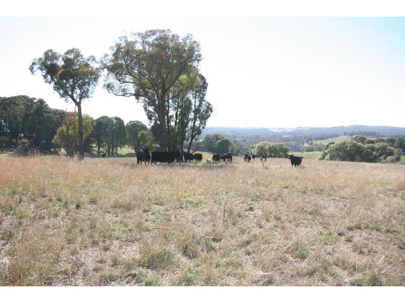 Black Springs NSW 2787