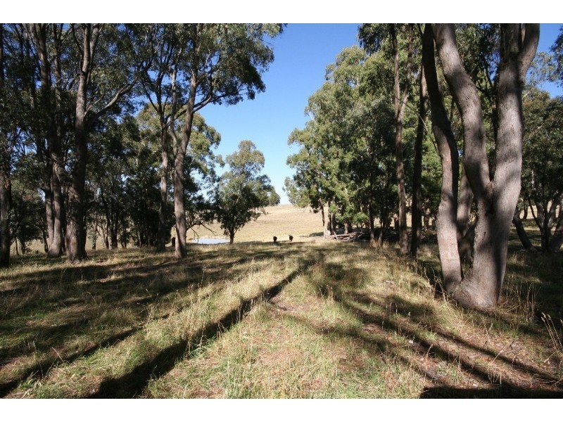 Black Springs NSW 2787