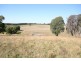 Black Springs NSW 2787