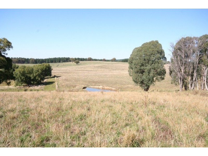 Black Springs NSW 2787