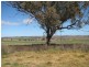 3249 Belubula Way, Canowindra NSW 2804