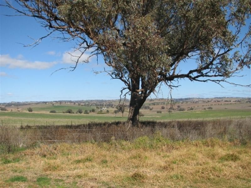 3249 Belubula Way, Canowindra NSW 2804