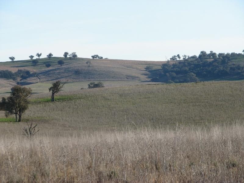 3249 Belubula Way, Canowindra NSW 2804