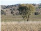 3249 Belubula Way, Canowindra NSW 2804