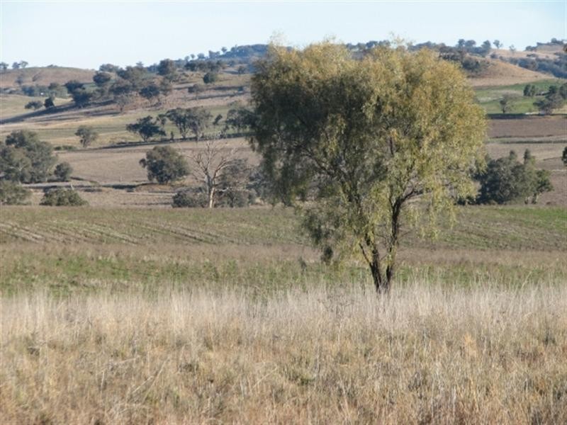 3249 Belubula Way, Canowindra NSW 2804
