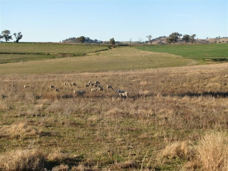 3249 Belubula Way, Canowindra NSW 2804