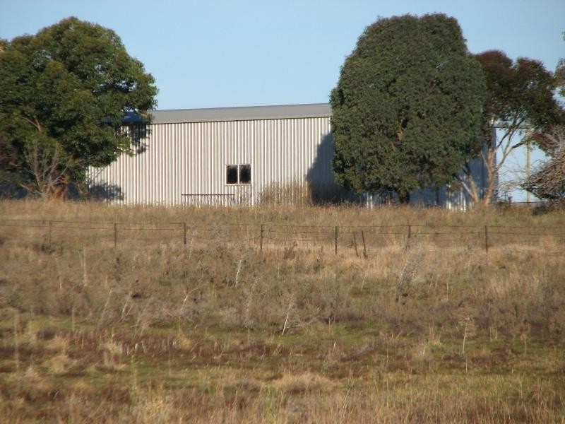 3249 Belubula Way, Canowindra NSW 2804