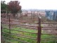 3249 Belubula Way, Canowindra NSW 2804