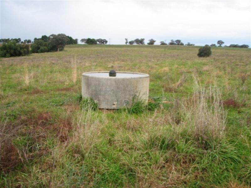 3249 Belubula Way, Canowindra NSW 2804