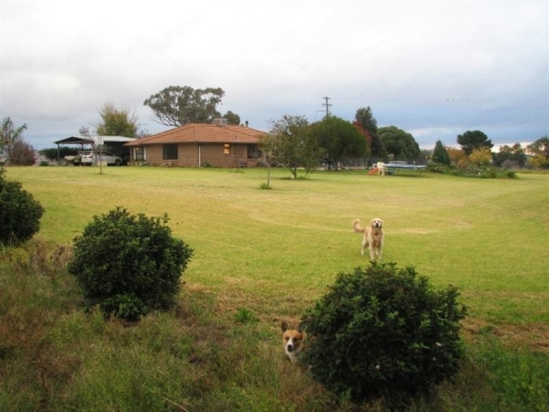 3249 Belubula Way, Canowindra NSW 2804