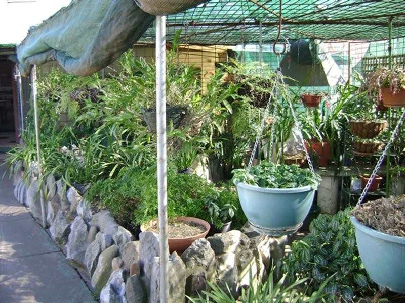 60 Tilga Street, Canowindra NSW 2804