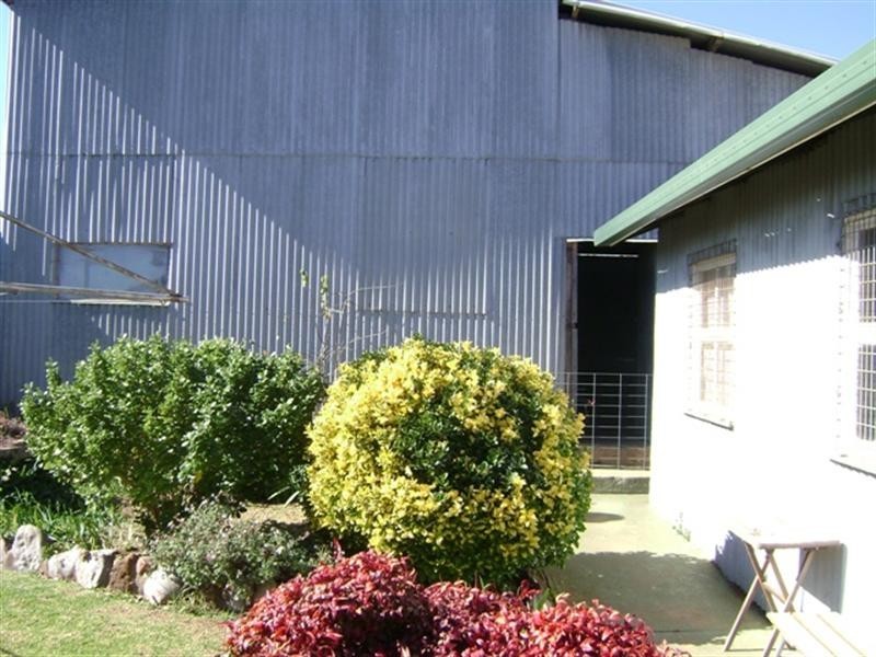 60 Tilga Street, Canowindra NSW 2804