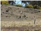 356 Warrys Road, Bathurst NSW 2795